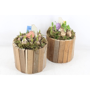 arr4 Bollenmix MB - Hout ton bruin 285/5