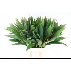 DECOGROEN GROOT BLAD