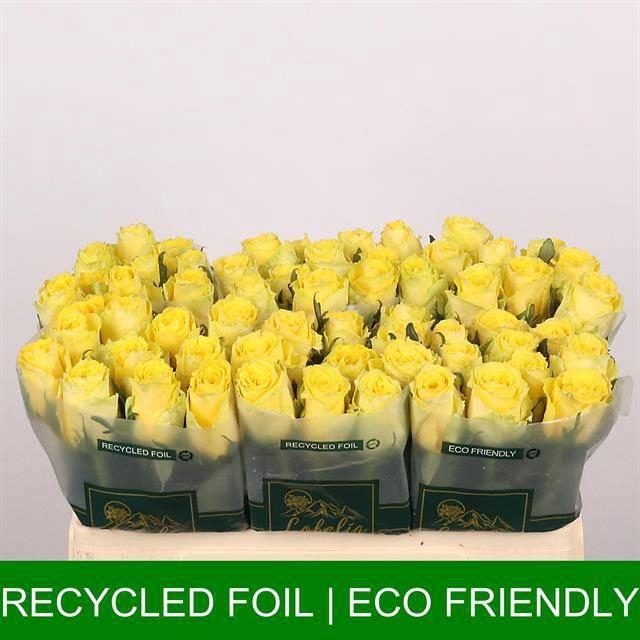 <h4>R GR GOOD TIMES</h4>