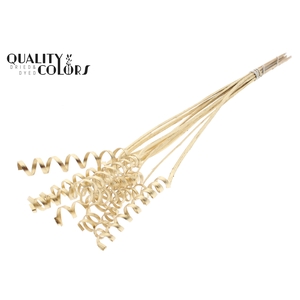 Cane Spring on stem Antique Gold