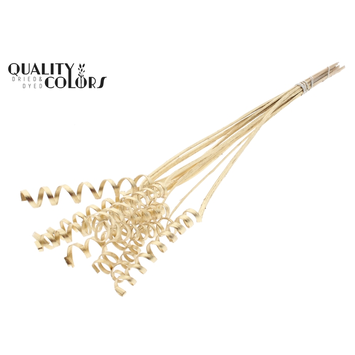 <h4>Cane Spring on stem Antique Gold</h4>