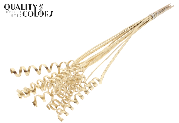 Cane Spring on stem Antique Gold