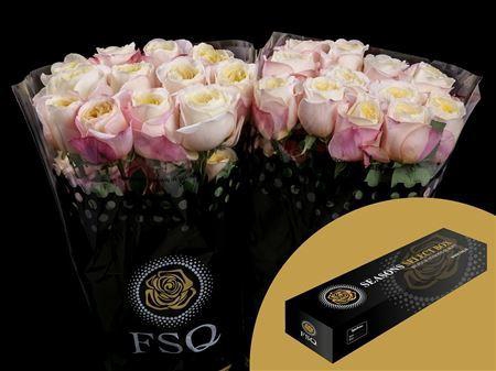 <h4>R Gr Gar Fatima Garden Box</h4>