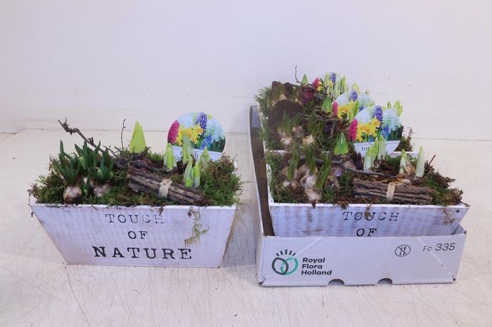 <h4>ARR BOL KNOLGEWAS</h4>