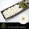 Ge Mi Lobby Box
