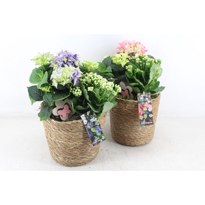 arr4 Outdoor MB - Hort. mix  Mand rond 344/4