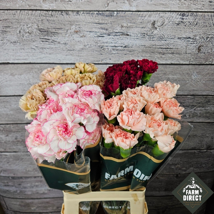 <h4>DI ST GEMENGD IN FUST</h4>