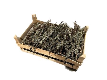 Crate Larix L50W30H20