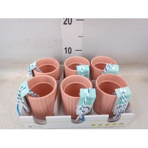 Pot   ...Keramische H%