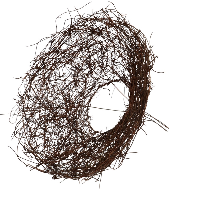 <h4>Salim d25cm</h4>