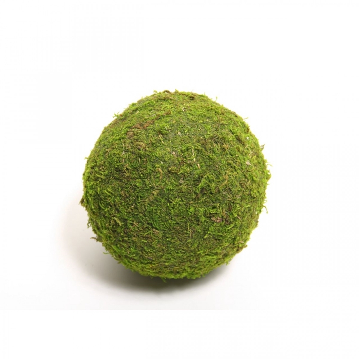 <h4>Dried articles Moss ball 15cm</h4>