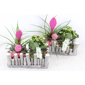 arr2 MB - Stokjes rechth. 2glas x4