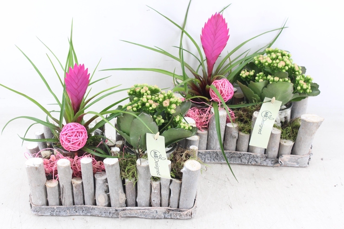 Arr2 Mb - Stokjes Rechth. 2glas X4