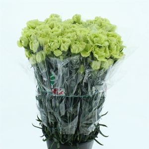 Di St Goblin Groen