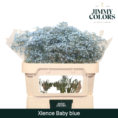 <h4>Gyps Xlence l70 Light blue</h4>