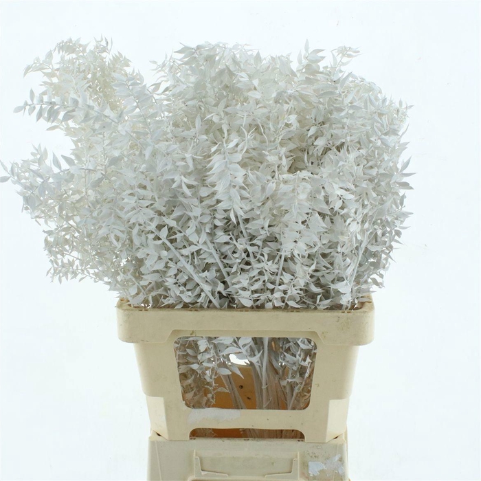 <h4>DROOGBL BEWERKT H%</h4>