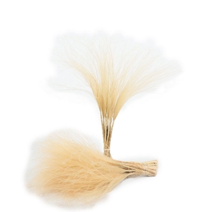 Stipa Pony Tails