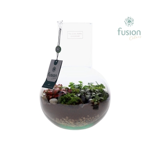 Green Bottle Suzanne Medium met arrangement