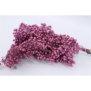 Schinus M Pt Metalic Pink Bunch