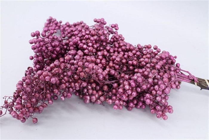 Schinus M Pt Metallic Pink Bunch