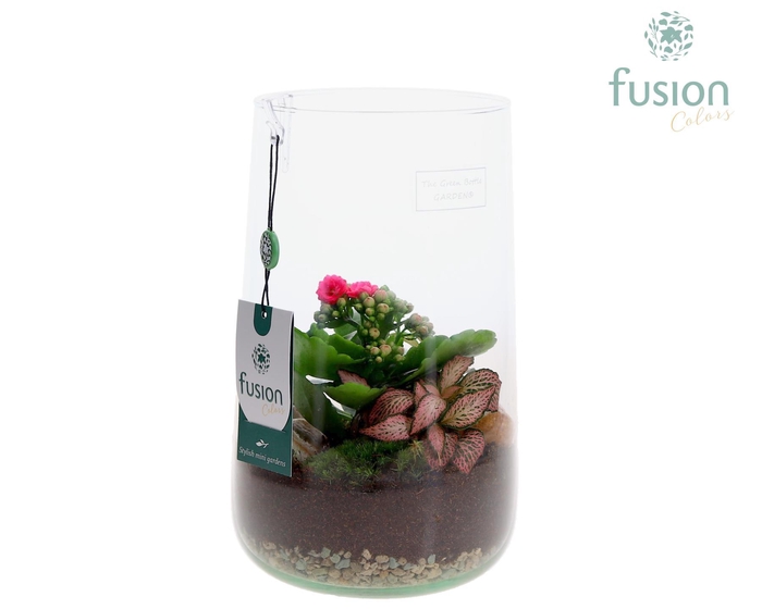 <h4>Green Bottle Deline Large met arrangement</h4>
