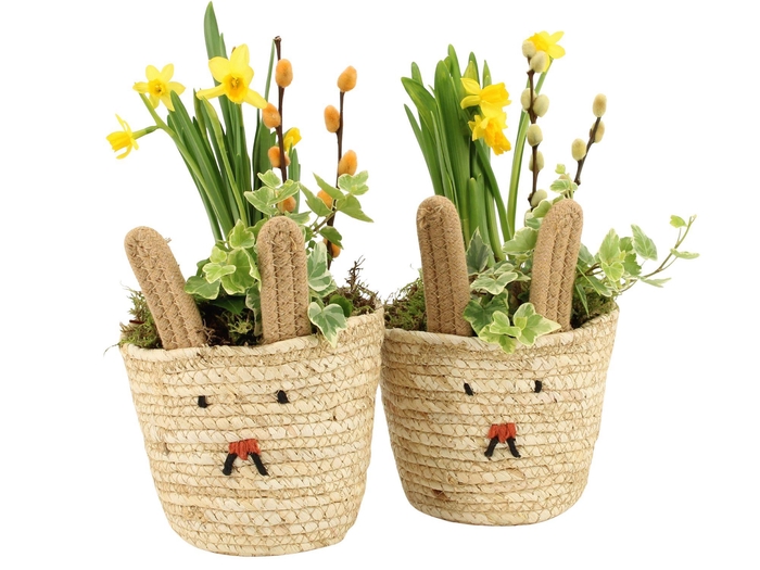 <h4>70895: Easter outdoor arrangement</h4>