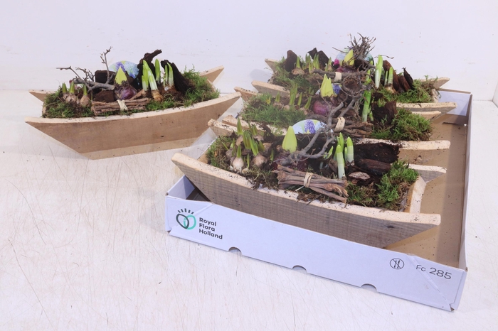 <h4>ARR BOL KNOLGEWAS</h4>