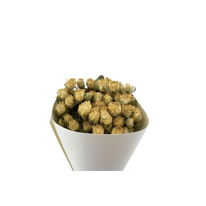 Dried Roses Spray White 100gr Bunch