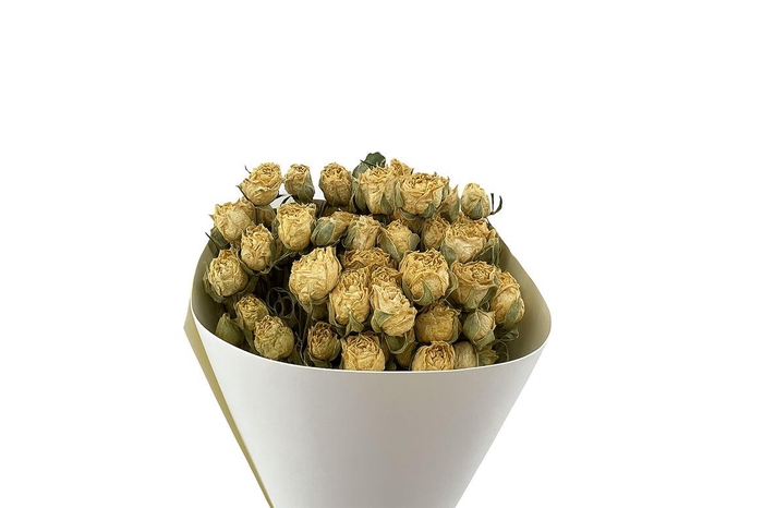 <h4>Dried Roses Spray White 100gr Bunch</h4>