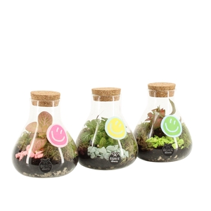 31591: Love school terrarium mini Erlenmeyer D10 / H14