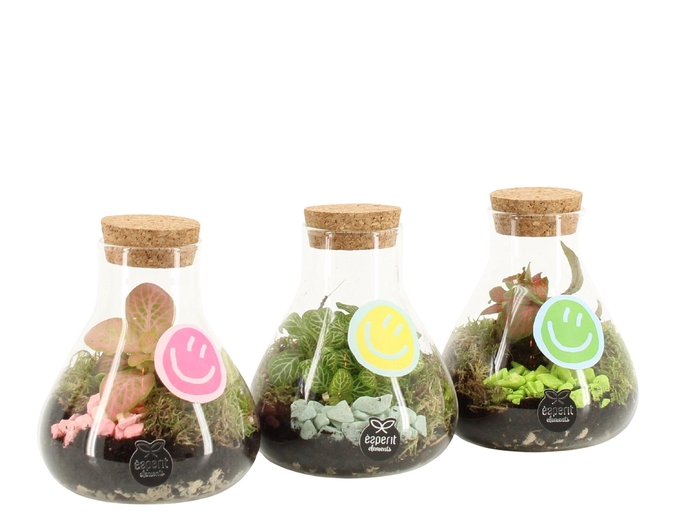 <h4>31591: Love school terrarium mini Erlenmeyer D10 / H14</h4>