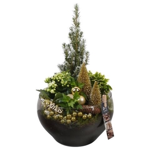 PTCHG5766 Arrangementen Kerst