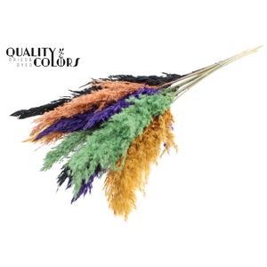 Pampas Grass 70cm 10st/bunch Halloween Mix