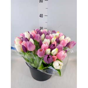 Decoratie  ..Kunstbloem H%