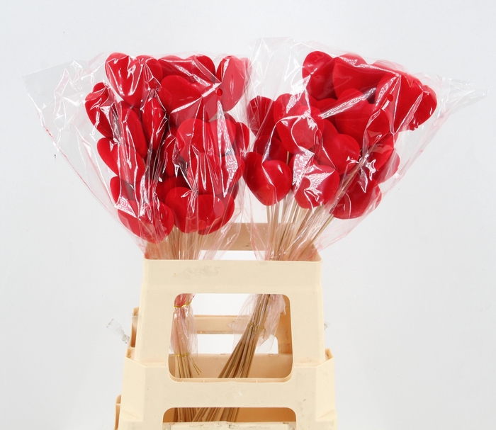 <h4>HARTJE OP STOK H%</h4>