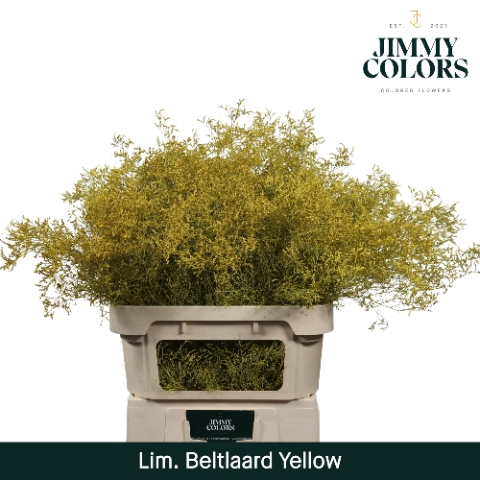 <h4>Lim Bel L90 Yellow</h4>