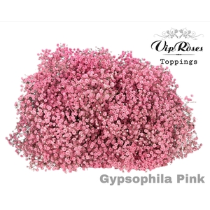 Gyps Pa Vip Pink