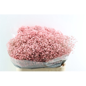 Gyps Grof Soft Pink (dip)