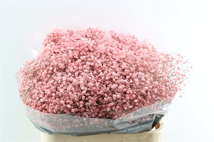 <h4>Gyps Grof Soft Pink (dip)</h4>