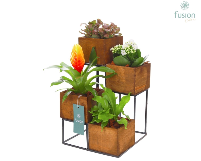 <h4>Tower hout met metaal met Bloeiende en Groene Planten</h4>