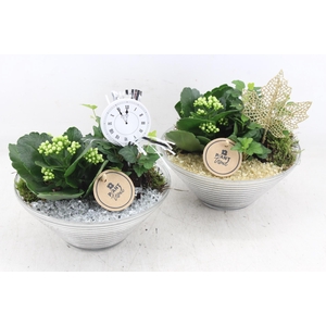 arr2 PL - Glas ribbelschaal x3 - goud/zilver