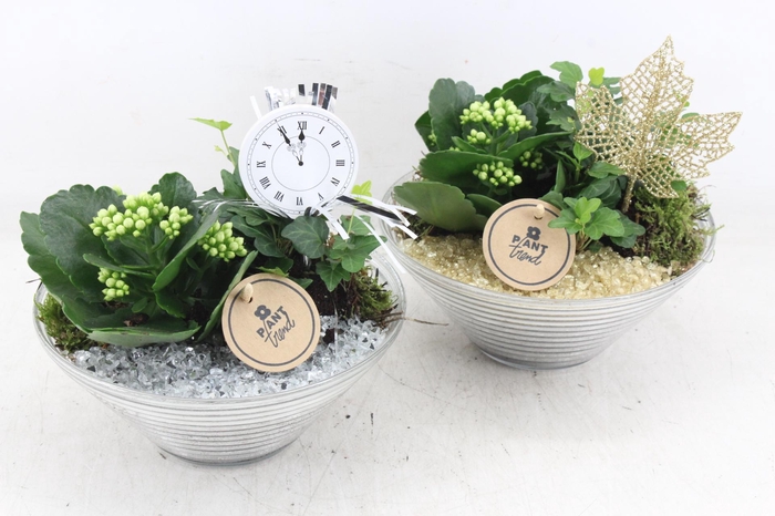 arr2 PL - Glas ribbelschaal x3 - goud/zilver