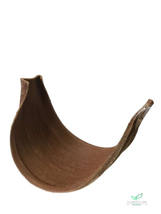 GALERA MIDDEL NATURAL