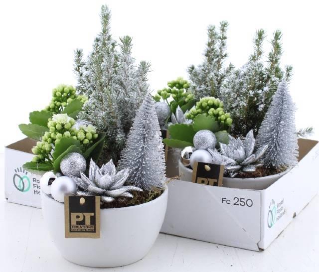 <h4>ARR KAMERPL</h4>