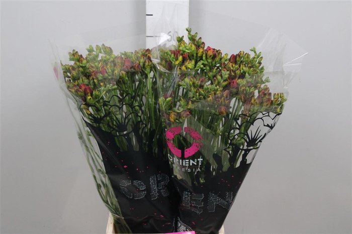 <h4>Fr Du Mandarine</h4>