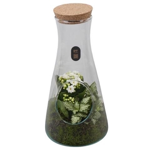 PTIG2691 Arrangement Indoor in glas fles