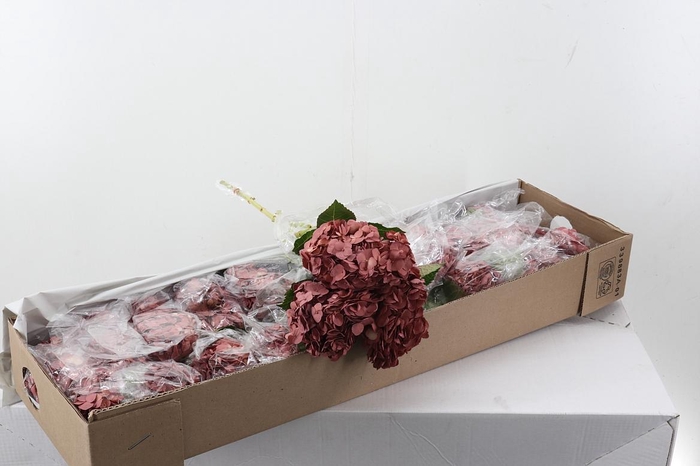 <h4>Hydr Camel Pink Box</h4>