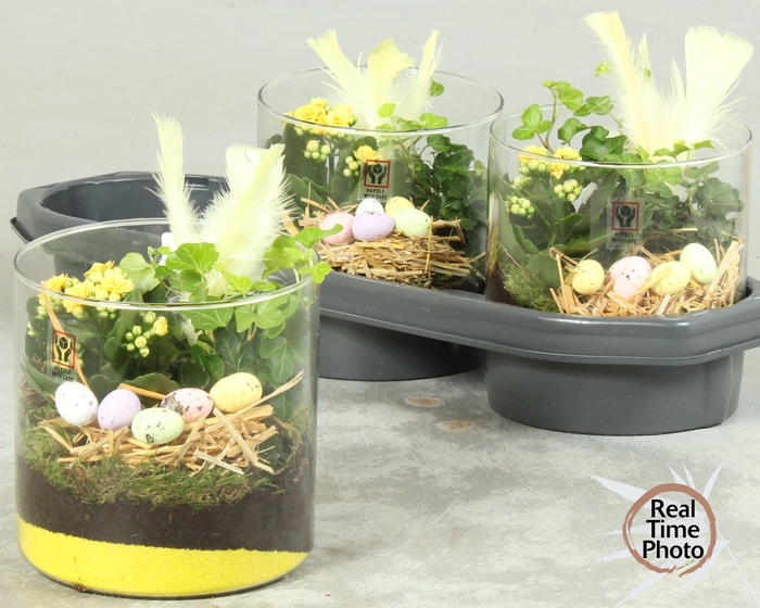 <h4>ARR KAMERPL</h4>