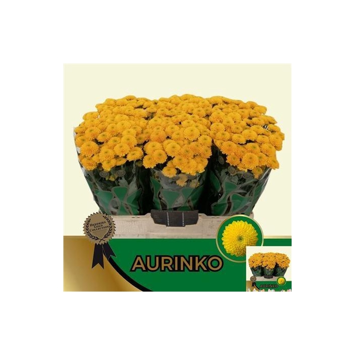 <h4>Chr S Aaa Aurinko</h4>