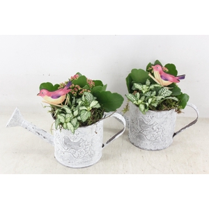 arr2 TD - Zink gieter - roze